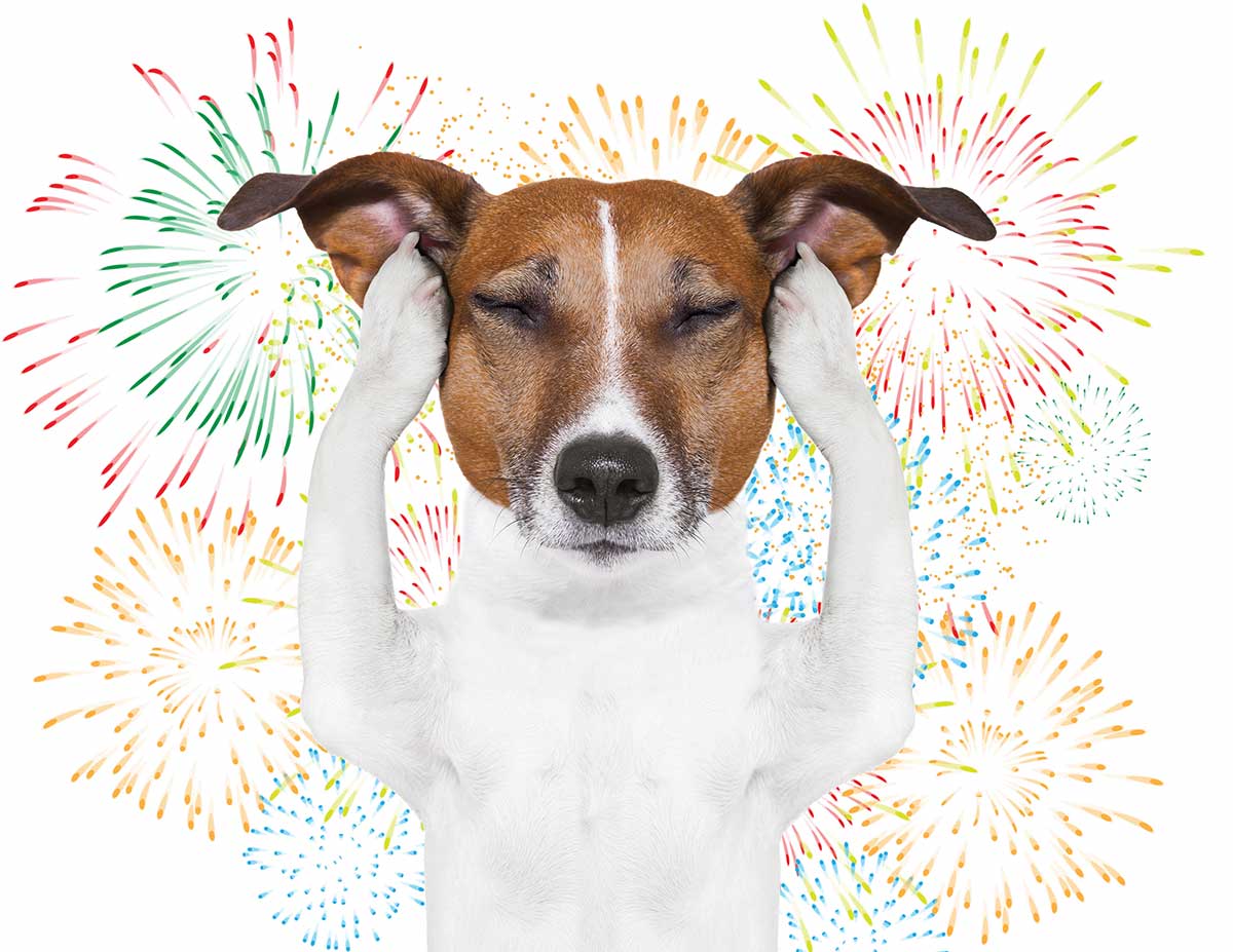 Fireworks Post #4