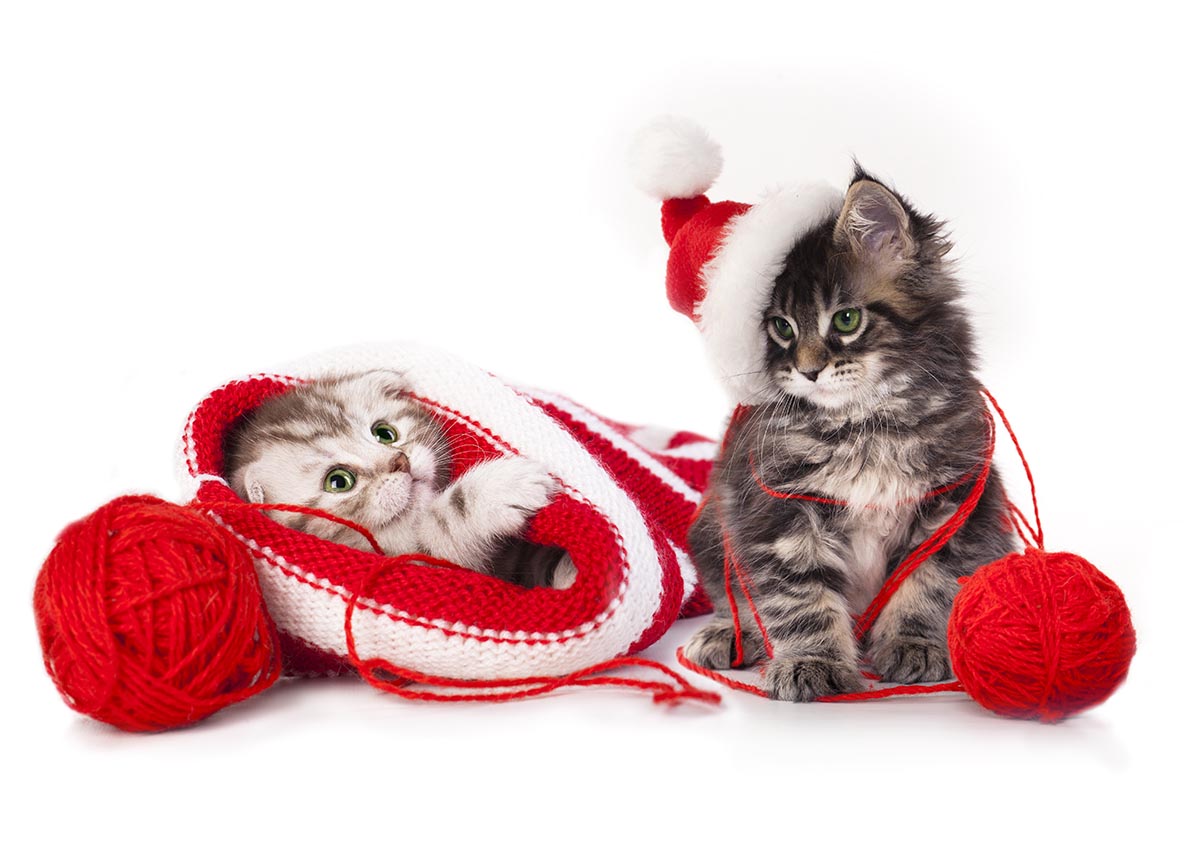Holiday Post #4