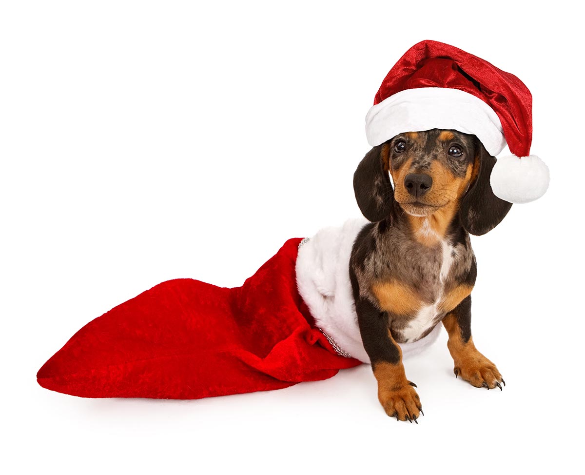 Holiday Post #3
