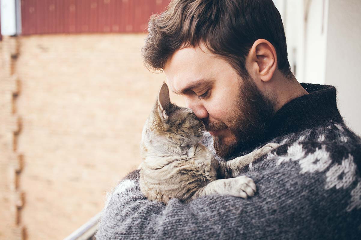 Happy Cat Post #11