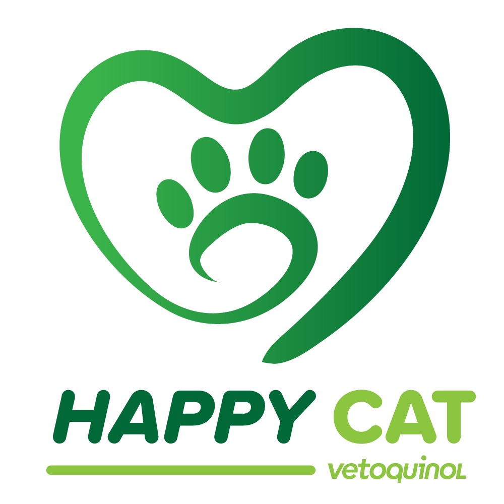 Happy Cat Post #1